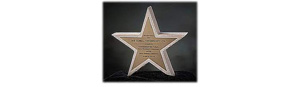 Texas Star Award